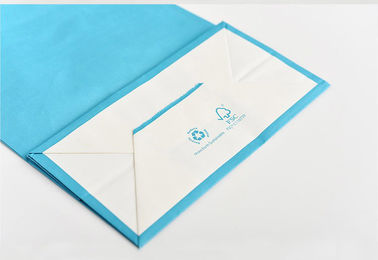 A cor azul imprimiu o logotipo de Customzied dos sacos de papel de Kraft com o punho de papel torcido fornecedor