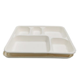 Da caixa biodegradável do alimento da cor do produto comestível da cana-de-açúcar da polpa do material poluição branca não fornecedor