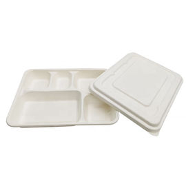 Da caixa biodegradável do alimento da cor do produto comestível da cana-de-açúcar da polpa do material poluição branca não fornecedor