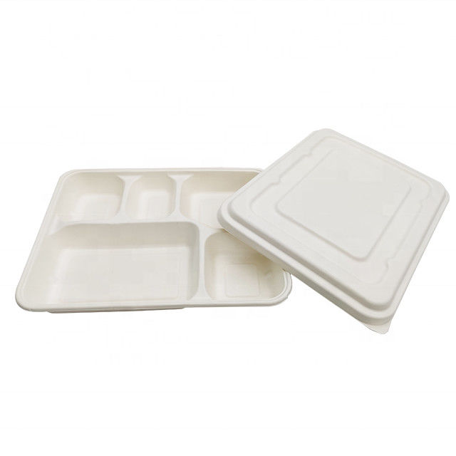 Da caixa biodegradável do alimento da cor do produto comestível da cana-de-açúcar da polpa do material poluição branca não fornecedor