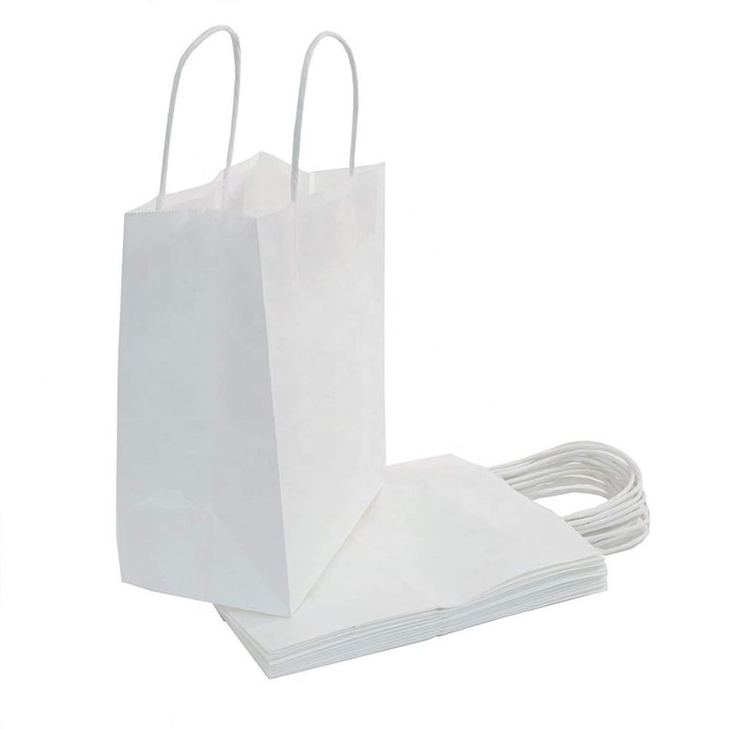 Cor elegante do tamanho 21 * 11 * 27cm dos sacos de papel de Kraft vária disponível fornecedor